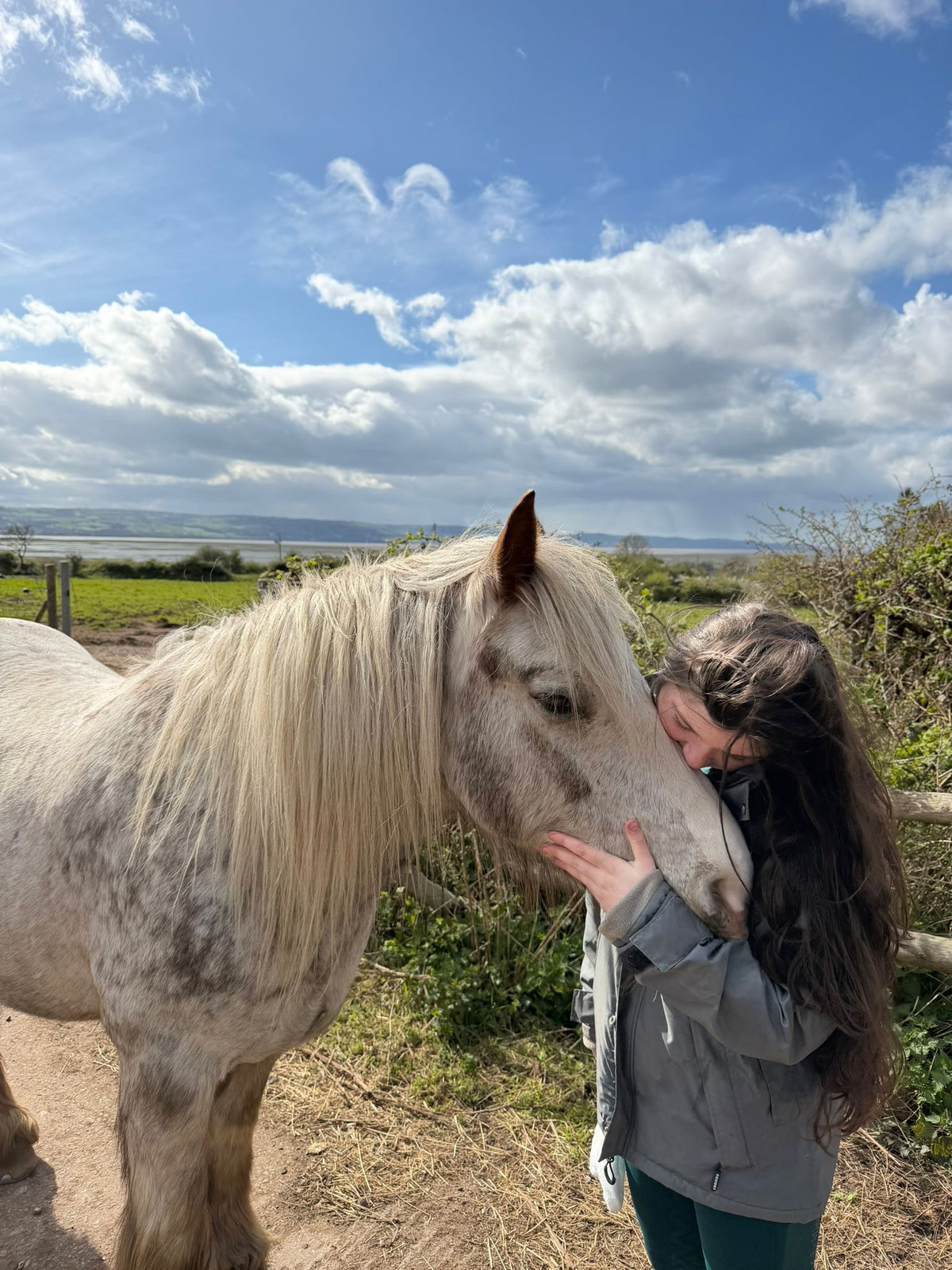 Pony Connection Session