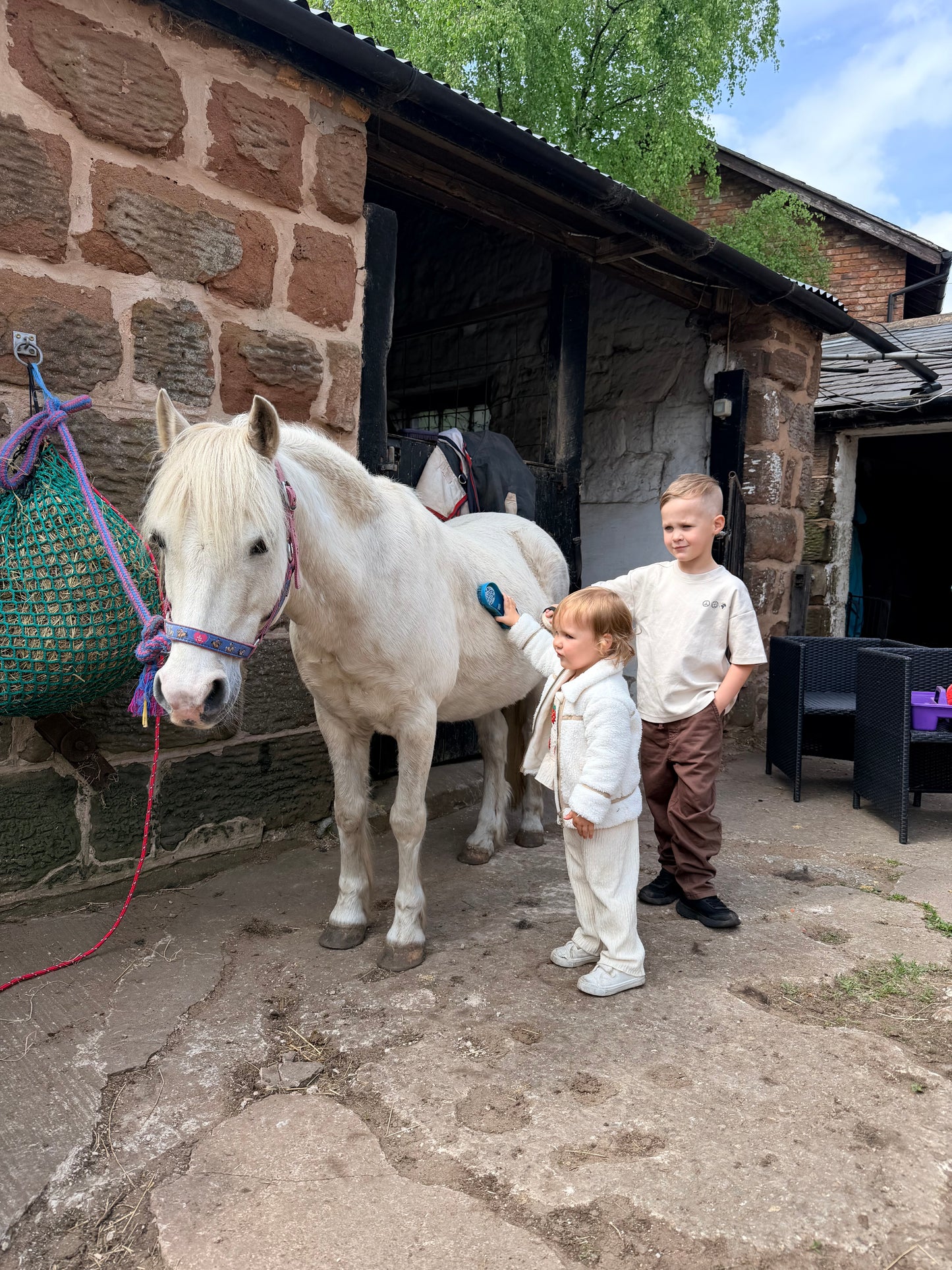 Private Pony Connection Session (Up to 3 Children)