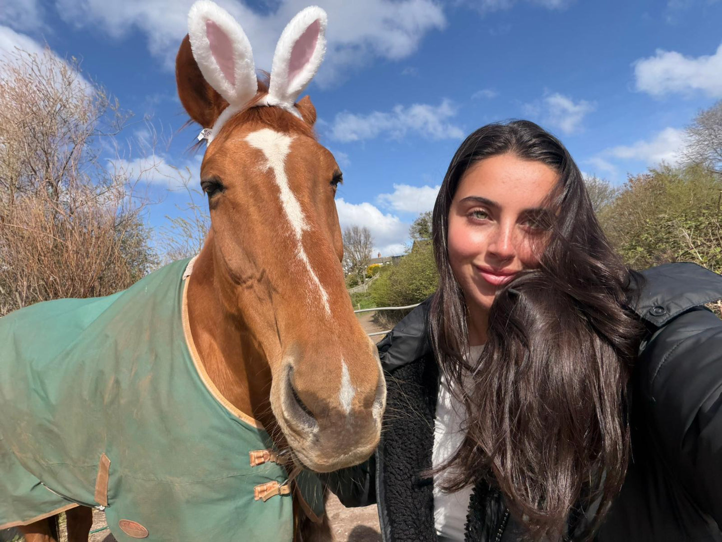 Equine-Assisted Wellbeing Sessions for Adults
