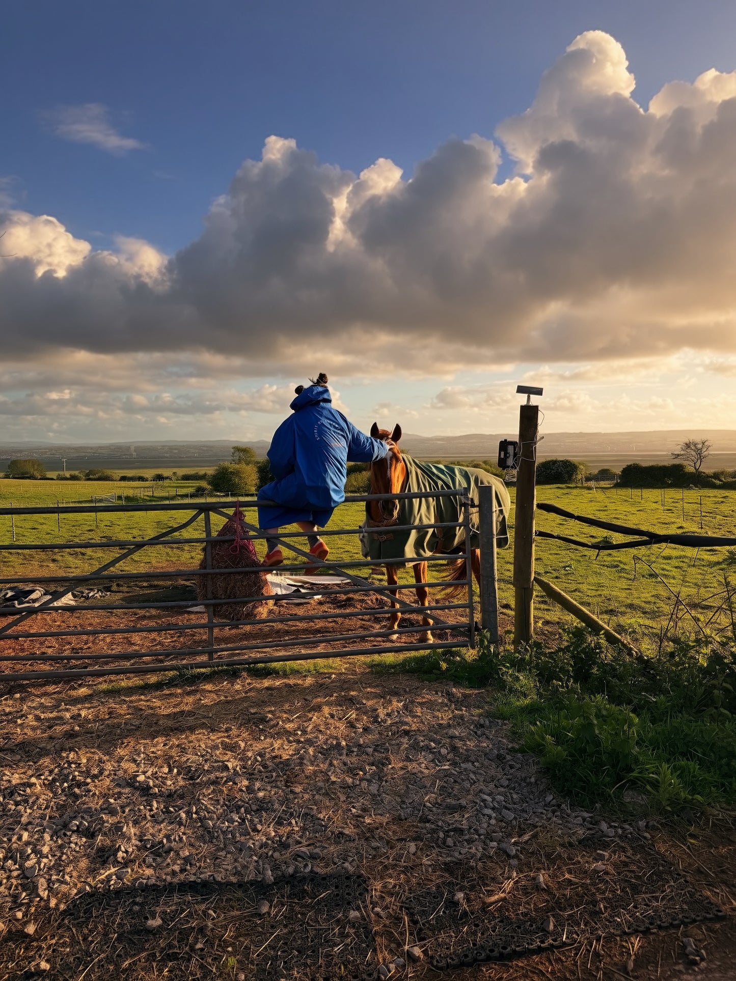 Equine-Assisted Wellbeing Sessions for Adults