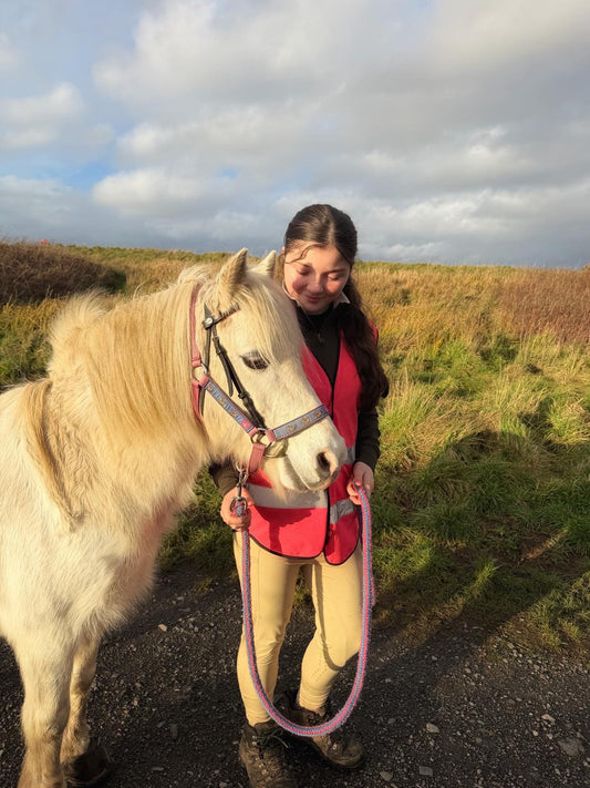 Equine Assisted Learning – SEND