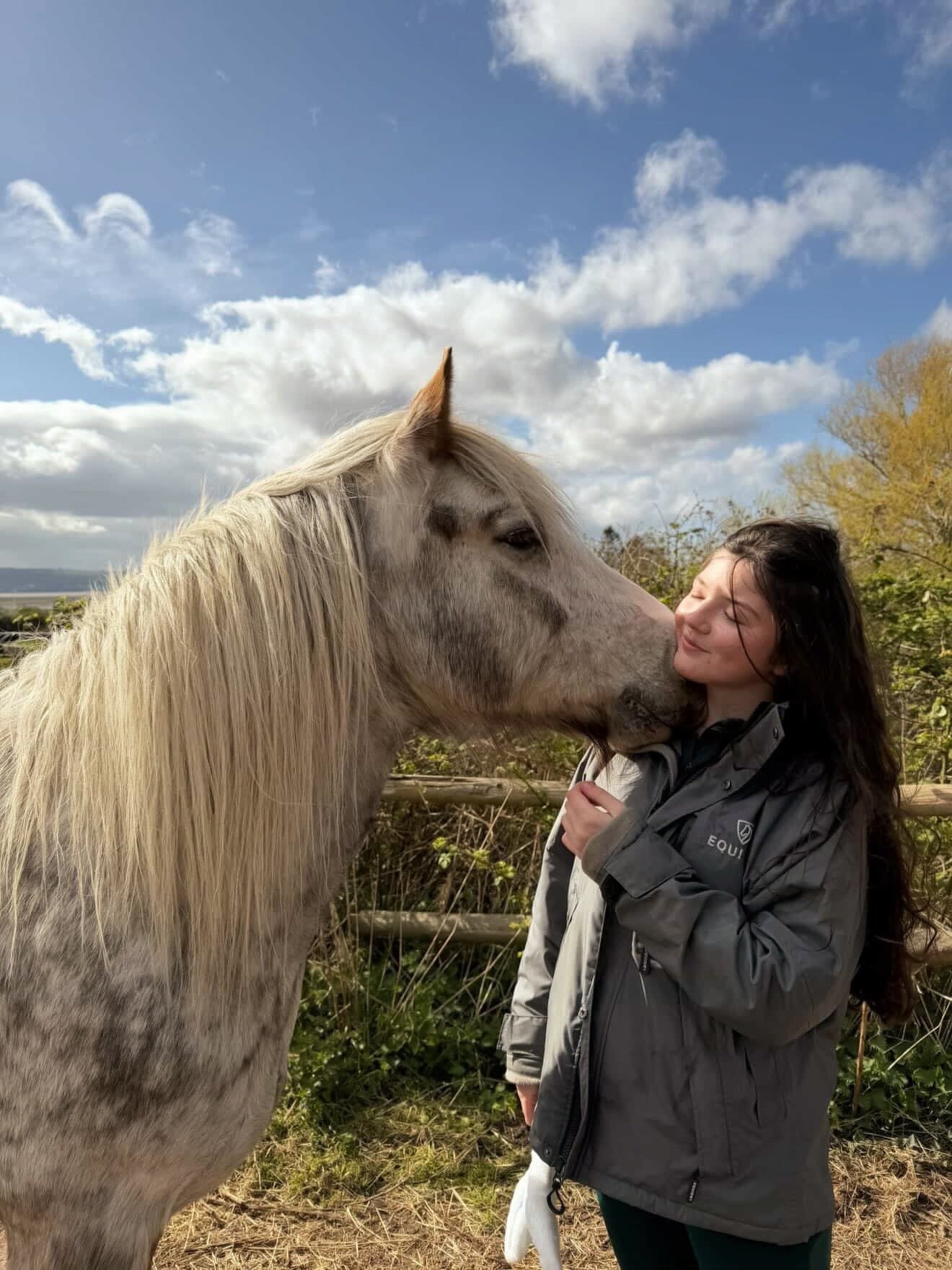 Equine-Assisted Wellbeing Sessions for Adults