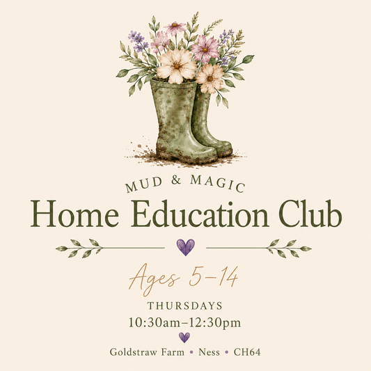 Home Education Club (Ages 5–14)

Thursdays | 10:30am–12:30pm
