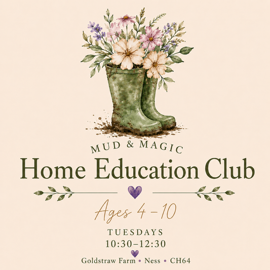 Home Education Club (Ages 4–10)

Tuesdays | 10:30am–12:30pm