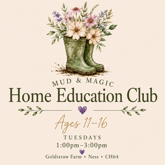 Home Education Club (Ages 11–16)

Tuesdays | 1pm–3pm