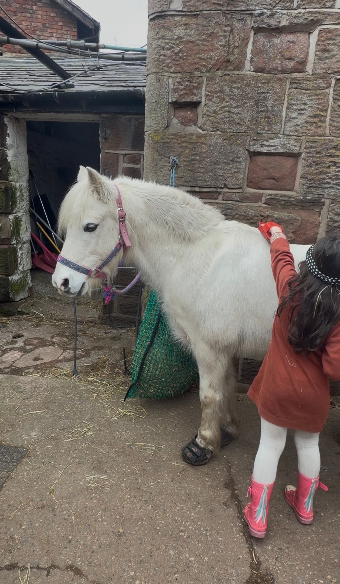 Private Pony Connection Session (Up to 3 Children)