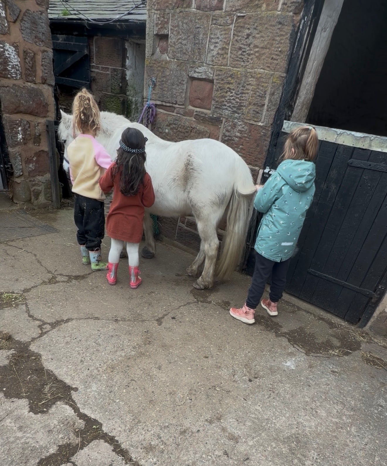 Private Pony Connection Session (Up to 3 Children)