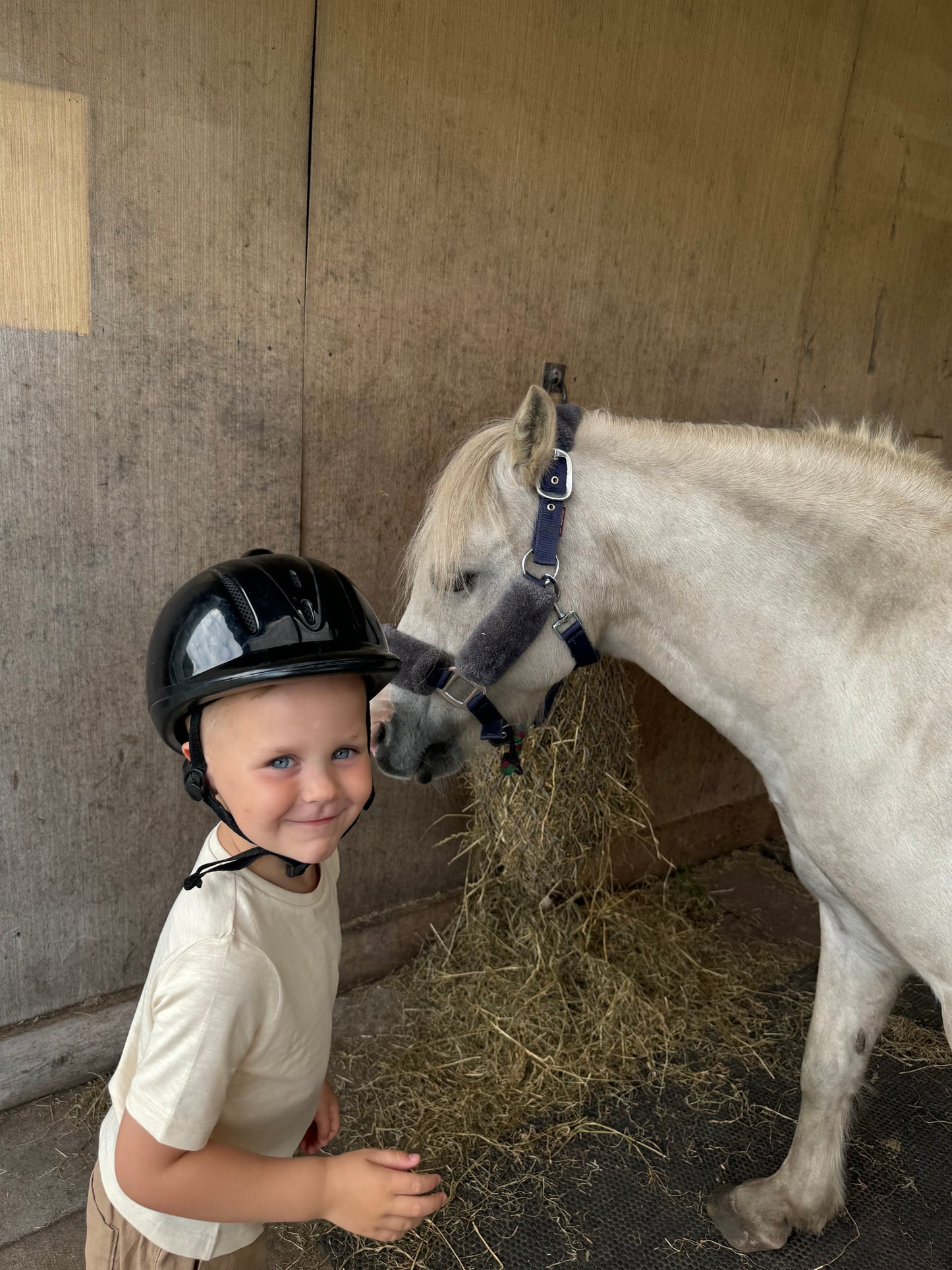 Private Pony Connection Session (Up to 3 Children)